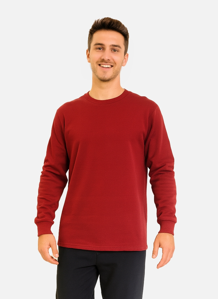 Model 4